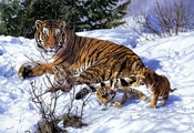 тигры, зима, John banovich, тигрица, арт, тигрята, снег