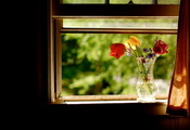Окно, лето, цветы
