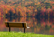 лавочка, деревья, Осень, разноцветные, день, листья