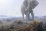 птицы., трава, туман, Слон