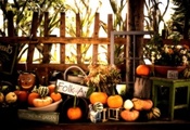 halloween, autumn, pumpkins, Fall