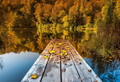 мост, природа, Озеро, листья, осень