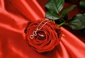 цветок, кольцо, роза, красная, романтика, Любовь
