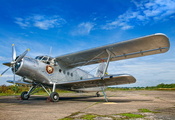 самолёт, аэродром, фон, Antonov an-2