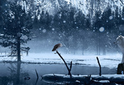 зима, озеро, волк, снег, сова, Арт