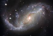 созвездие, галактика, золотая рыба, Ngc 1672