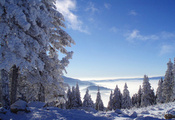 зима, Природа, горы, снег, лес