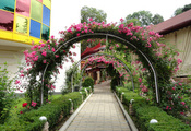 Кисловодск, арка, цветы