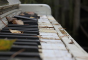 сломанное, клавиши, листья, Фото, старое, пианино