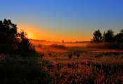 Раннее утро, рассвет, солнце, лес, туман, поляна. поле