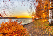 листья, пейзаж, осень, деревья, закат, озеро, Природа
