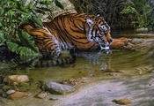 lee kromschroeder, tiger, thirsty, painting, jungle, beast of prey, stream, ...