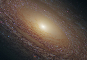 Ngc 2841, созвездие, спиральная галактика