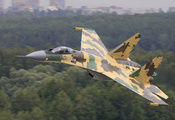 лес, скорость, полет, Су-35