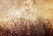 узор, Sirius-sdz, деревяшка, дерево, стена, рисунок