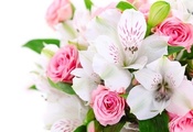 белые, орхидеи, Розы, букет, розовые, цветы