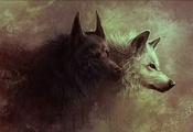 Арт, звери, волк, волчица
