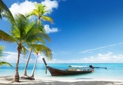 Tropical, Sea, Boat, Palms, Beach