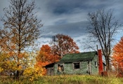 Autumn, Old, House, Abandoned, Trees