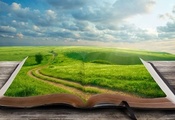 трава, дерево, пейзаж, мир, дорога, закладка, Книга