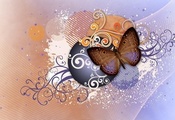 крылья, узор, Абстракция, бабочка