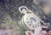 часы, цепочка, римские цифры, фон, камни, Макро, листья