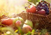 Корзина, виноград, яблоки, трава