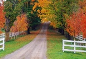 осень, дорога, забор, Природа, лес