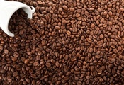 coffee, beans