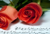 Roses, Sheet Music, music
