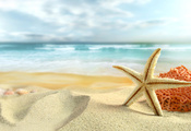 sand, beach, природа, sea, shells, Nature, лето, clouds, starfish, sky, неб ...