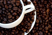 coffee, white, коричневый, макро, белый, чашка, Кофе, cup, зерна