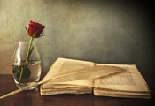 перо, роза, стол, Книга, старая, красная, ваза