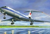самолет, а.жирнов, ту-134б, пассажирский, Рисунок