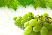Виноград, гроздь, лист
