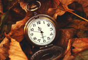 Макро, природа, часы, листья, время