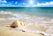 солнце, небо, песок, прибой, Ракушка, море