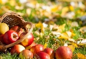 яблоки, листья, Корзина, трава, фрукты