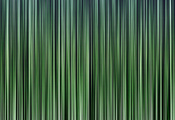 texture, полоски, фон, зелень, lines, текстура, stripes, Полосы