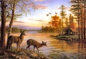 painting, deer, birch, mary pettis, river, Quiet evening, nature