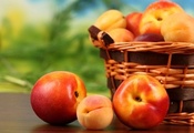Персики, peaches, абрикосы, apricots, fruit, нектарин, фрукты