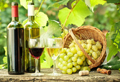 листья, вино, Виноград, корзина, бутылки, бокалы, ветки