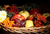 цветы, корзина, листья, фрукты, Яблоки, облепиха, осень