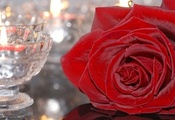 стекло, бордовая, свеча, роза, подсвечник, Цветок