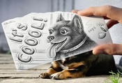 надпись, рисунок, рука, животное, Собака