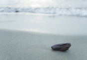 песок, пляж, Камень, море, берег, серый, серебристый