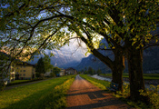 весна, Швейцария, вечер, лавочка, дорога, деревья