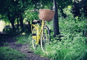 Дорога, велосипед, парк