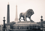 париж, памятники, Город, статуя, лев, франция