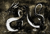 год дракона, Черный фон, 2012, водяной китайский дракон